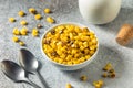 Homemade Roasted Sweet Corn Kernals