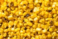 Homemade Roasted Sweet Corn Kernals Royalty Free Stock Photo