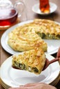 Homemade rolled borek, turkish cuisine