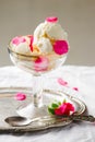 Homemade rose ice cream Royalty Free Stock Photo