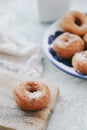 Homemade rosquillas, typical spanish donuts