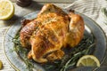 Homemade Rotisserie Chicken with Herbs Royalty Free Stock Photo