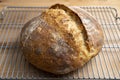 Homemade round loaf of freshly baked artisan sourdough bread Royalty Free Stock Photo