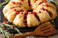 Homemade round meat pie with cranberries and cheese close-up. ho