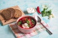 Homemade Russian, Ukrainian and Polish national soup - red borscht made of beetrot, vegetables and meat with sour cream. Royalty Free Stock Photo