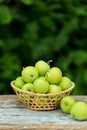 Homemade rustic green apples in a basket on an old stool. Royalty Free Stock Photo