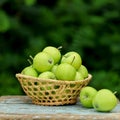 Homemade rustic green apples in a basket on an old stool. Royalty Free Stock Photo