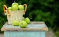 Homemade rustic green apples in a basket on an old stool. Royalty Free Stock Photo