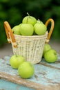 Homemade rustic green apples in a basket on an old stool. Royalty Free Stock Photo