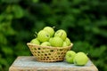 Homemade rustic green apples in a basket on an old stool. Royalty Free Stock Photo