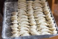 Homemade rustic homemade dumplings hand-sculpted on a tray in flour