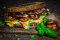 Rustical BLT sandwich Royalty Free Stock Photo