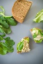 Homemade rye bread with herring paste and arugula Royalty Free Stock Photo
