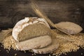 Homemade rye bread Royalty Free Stock Photo