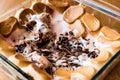 Homemade S`mores Dip / Baked Marshmallow Royalty Free Stock Photo