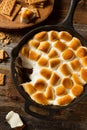 Homemade S'mores Dip with Graham Crackers Royalty Free Stock Photo