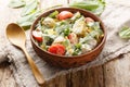 Homemade salad of boiled eggs, potatoes, tomatoes, onions and sorrel, spinach with cream dressing close-up in a bowl. Horizontal Royalty Free Stock Photo