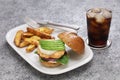 Homemade salmon burger with avocado Royalty Free Stock Photo