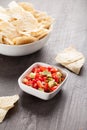 Homemade Salsa and Chips vertical shot