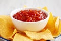 Homemade Salsa and Tortilla Chips on a Plate, side view. Close-up Royalty Free Stock Photo