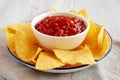 Homemade Salsa and Tortilla Chips on a Plate, side view. Close-up Royalty Free Stock Photo