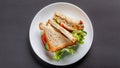 Homemade sandwich made of toast bread, fried egg, melted cheese, tomatoes, cucumber, lettuce, burgers and mayonnaise sauce Royalty Free Stock Photo
