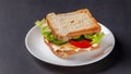 Homemade sandwich made of toast bread, fried egg, melted cheese, tomatoes, cucumber, lettuce, burgers and mayonnaise sauce Royalty Free Stock Photo