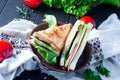 Homemade sandwich with salad and juice as a healthy breakfast Royalty Free Stock Photo