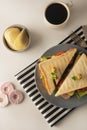 Homemade sandwich. Toasted double panini with ham, cheese fresh vegetables. Snack at work or lunch. Light background Royalty Free Stock Photo