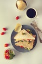 Homemade sandwich. Toasted double panini with ham, cheese fresh vegetables. Snack at work or lunch. Light background Royalty Free Stock Photo