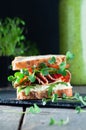 Homemade sandwich with whole grain bread and radish sprouts