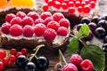 Homemade sandwiches with wild berries close-up