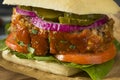 Homemade Savory Meatloaf Sandwich Royalty Free Stock Photo