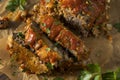 Homemade Savory Spiced Meatloaf Royalty Free Stock Photo