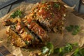 Homemade Savory Spiced Meatloaf Royalty Free Stock Photo