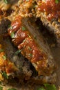 Homemade Savory Spiced Meatloaf Royalty Free Stock Photo