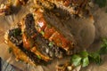 Homemade Savory Spiced Meatloaf Royalty Free Stock Photo