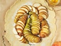 Homemade Seasonal French Pear Cookies - Galette with Ripe Pears, Cardamom and Honey. Shortbread dough for baking biscuits with