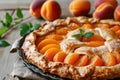 Homemade Seasonal Summer Fruit Biscuits, Tart, Open Apricot Pie Royalty Free Stock Photo