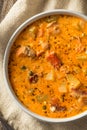 Homemade Seattle Smoked Salmon Chowder Royalty Free Stock Photo