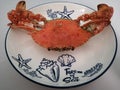 Homemade: Served delicious steam crab in a nice plate