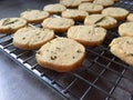 Homemade slice and bake rosemary butter cookies on cooling rack
