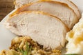 Homemade Sliced Turkey Breast Royalty Free Stock Photo