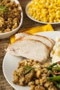 Homemade Sliced Turkey Breast Royalty Free Stock Photo
