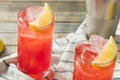 Homemade Sloe Gin Fizz Royalty Free Stock Photo