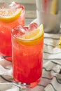 Homemade Sloe Gin Fizz Royalty Free Stock Photo