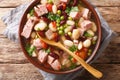 Homemade slow kidney bean soup with ham, tomatoes and herbs close-up in a bowl. horizontal top view Royalty Free Stock Photo