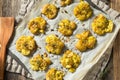 Homemade Smashed Potatoes with Garlic Royalty Free Stock Photo