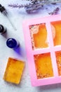Homemade soapmaking. Liquid glycerin based soap with natural additives