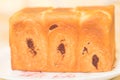 Homemade soft, fluffy Chocolate bread loaf, Japanese milk bread- Image